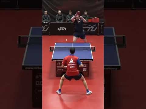 Absolutely INSANE Table Tennis Defense from Yang Wang ! #tabletennis #defence #proplayer