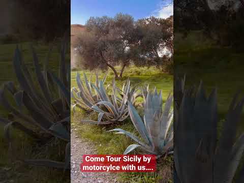 Greece or Sicily? where are we? biker tour trip motorcycle