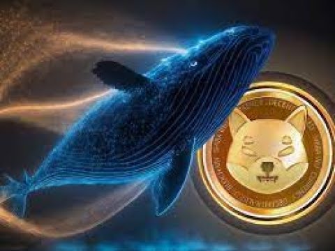 Shiba Inu SHIB 700% Whales Activity Surge to Become Lifesaver for Meme Coin